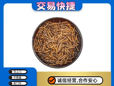 郴州苏仙区回收散虫草